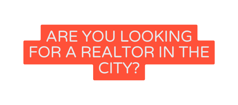 Are you looking for a realtor in the city